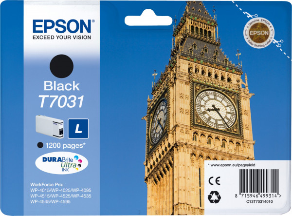 Epson T7031 [C13T70314010] black Tinte